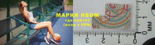 бошки Алексин