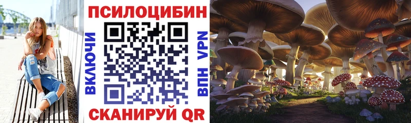 Галлюциногенные грибы Psilocybe  Алексеевка 