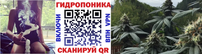 Марихуана сатива  Алексеевка 